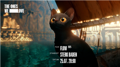 Community Film Festival: FLOW