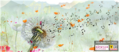 Borromeo Music Festival