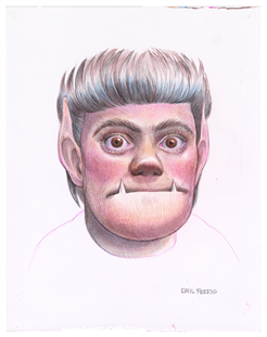 Ausstellung «Emil Ferris. Between Selves»