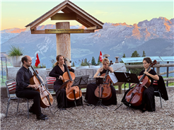 Vinocello – Saiten, Wein & Genuss