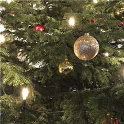 Familien-Weihnachts-Gottesdienst