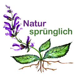 Wildpflanzen - Heimische Superfoods