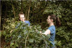 Herbst-Gartenkurs in Forst-Längenbühl