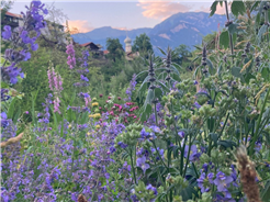 Schritt für Schritt zu deinem Permakultur-Garten