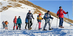 Leben in der Winterruhe