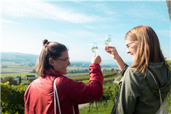 Hike & Taste - Thurgauer Genusswanderung