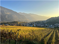 Weinwanderung - Balade des Vins - Salgesch