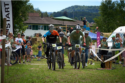 Oris Cup