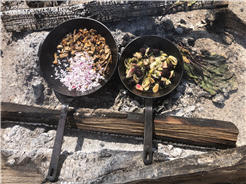 Pilzexkursion mit Kochen auf dem Feuer