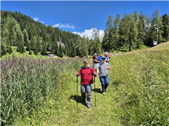 Wandern in Österreich