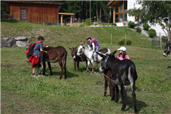 Eseltrekking