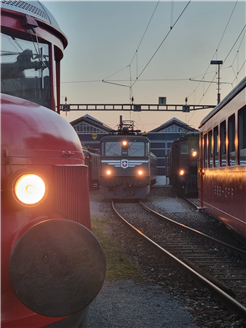Alder & Bahn – eine Ausstellung zu Modellbau und Eisenbahn