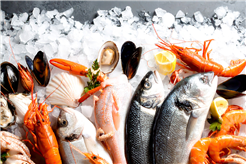 Fischspezialitäten & Meeresfrüchte