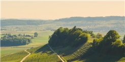 Weintavolata: Weingut Lindenhof AG