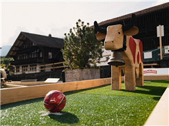 Fussball MUHnigolf
