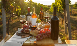 Weintavolata im Rebberg Uster