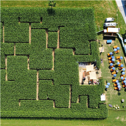 mini Schwiz Maislabyrinth