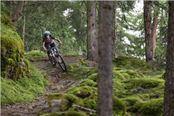 #patchific und #shredders – Kidskurse Sommer 2026