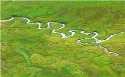 Das Rauschen des Wassers