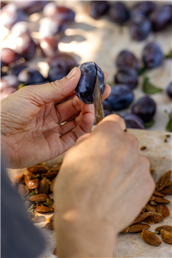 Gemeinsames Zwetschgenrüsten - Zwetschgenrüsten für feinste Zwetschgenprodukte