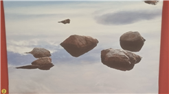 Ausstellung «Augenblicke in der Natur II»