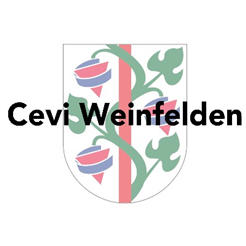 Cevi Jungschar