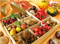 Kräuterwanderung/Workshop: Wildkräuter durchs Jahr - Herbstschätze