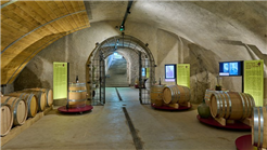 Ausstellung: 2000 Jahre Wein auf Arenenberg