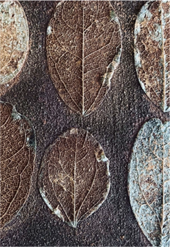 Ausstellung ''Transitus - Übergänge''