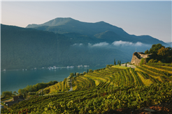 Wine tasting - Tenuta Castello di Morcote