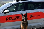 Bild: Kantonspolizei Zürich